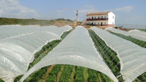 Subvenciones 2026 para la gestión colectiva de contratación en origen de trabajadores migrantes (DGGM)