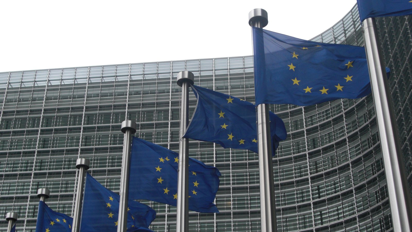 Corrección de errores del Reglamento (UE) 2024/1351 sobre gestión del asilo y la migración